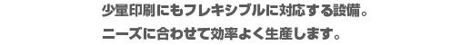 少量印刷にもフレキシブルに対応する設備。ニーズに合わせて効率よく生産します。